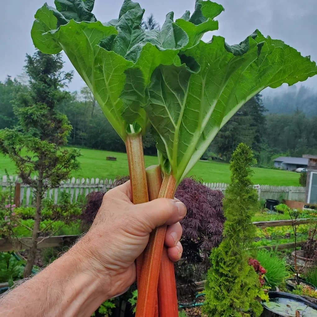 Farm Among Us