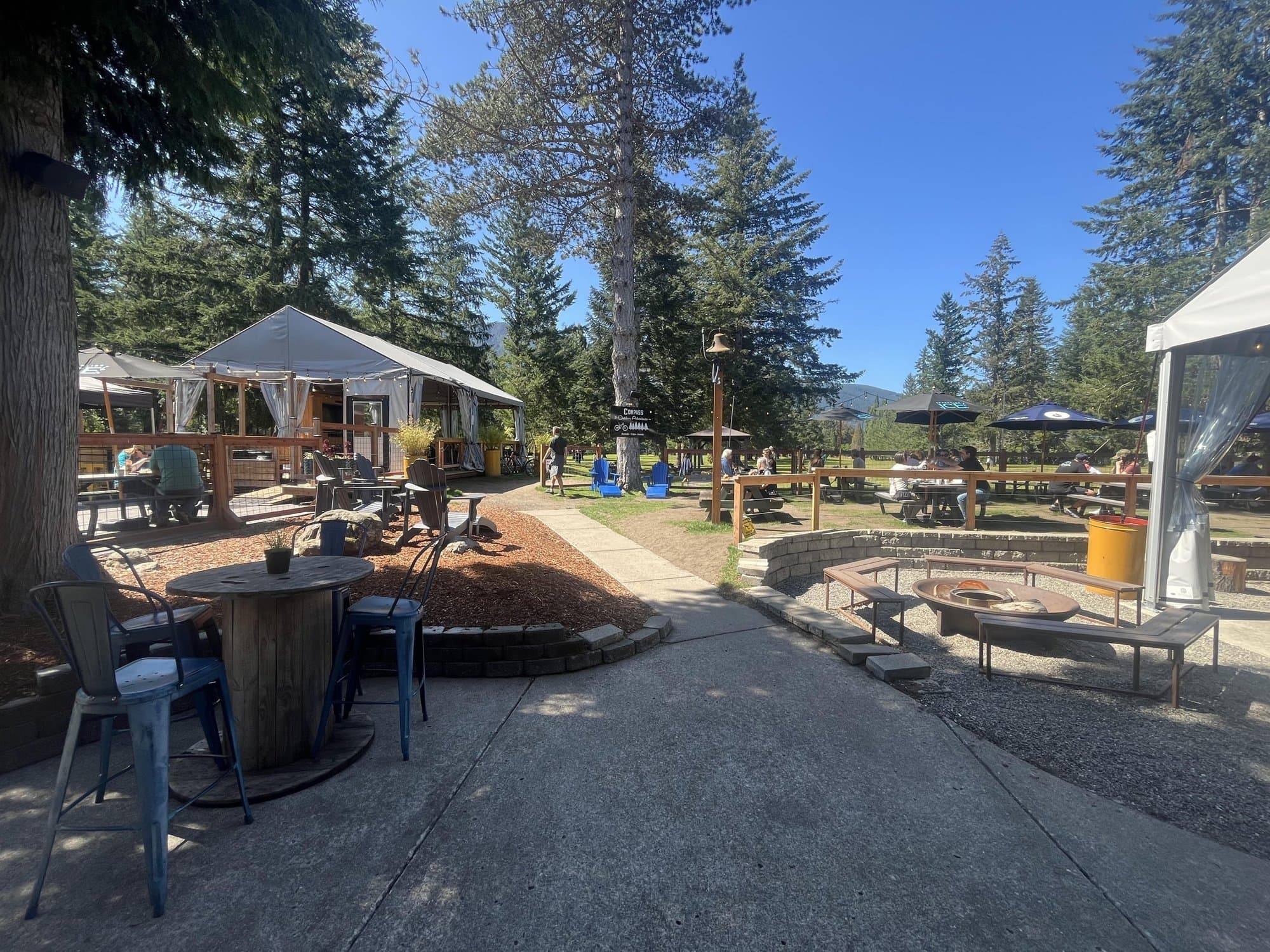 The sunny beer garden under tall evergreens
