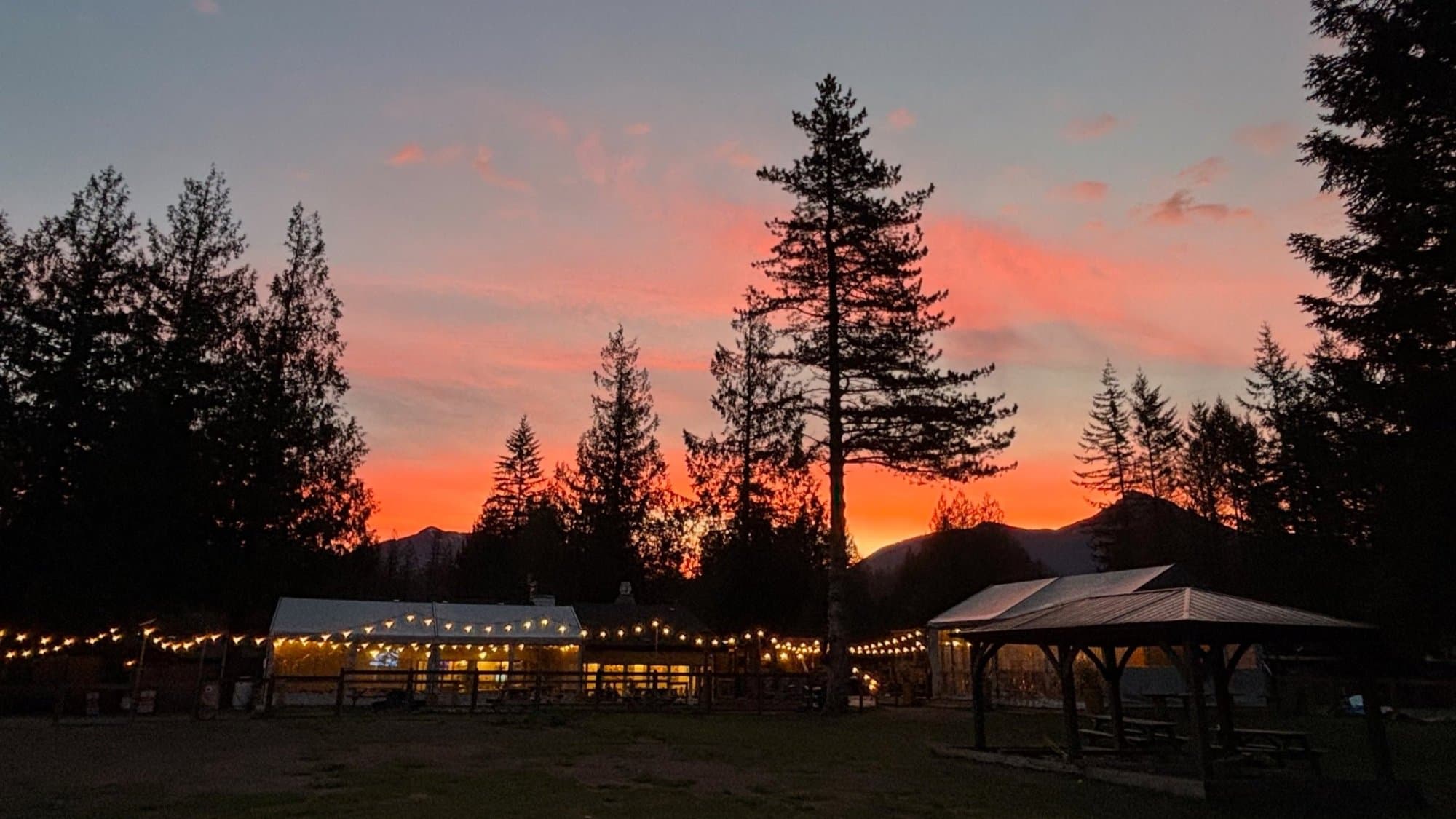 The whole beer garden at sunset with string lights glowing